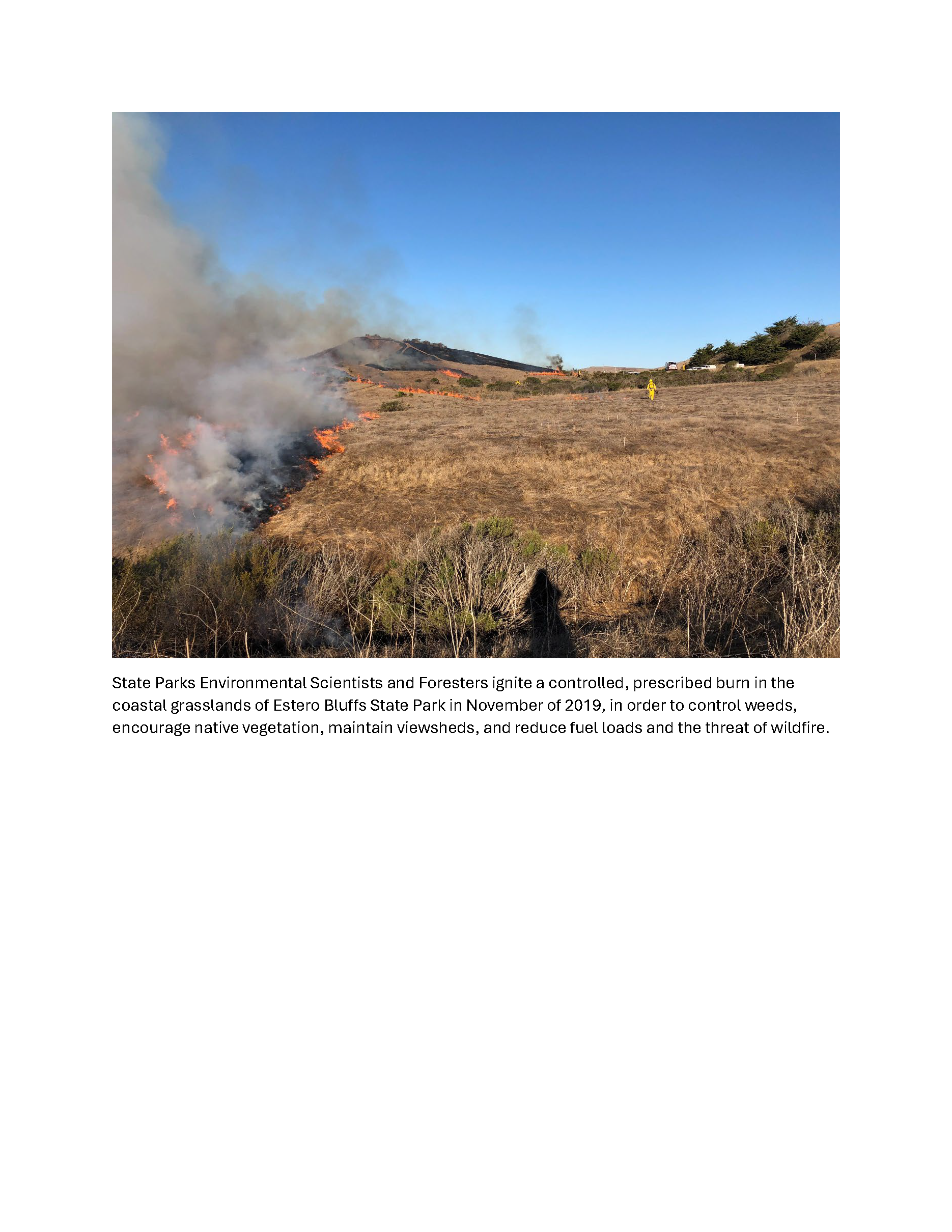 2025.10.23 Press Release_Prescribed Burn_Estero Bluffs_Page_3
